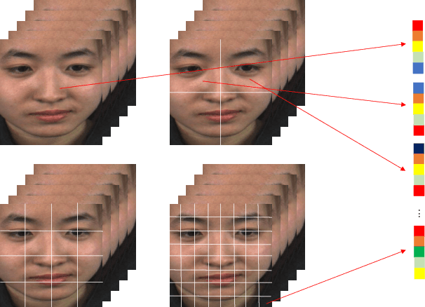 Figure 1 for Seeking Salient Facial Regions for Cross-Database Micro-Expression Recognition