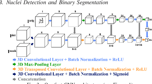 Figure 2 for Center-Extraction-Based Three Dimensional Nuclei Instance Segmentation of Fluorescence Microscopy Images