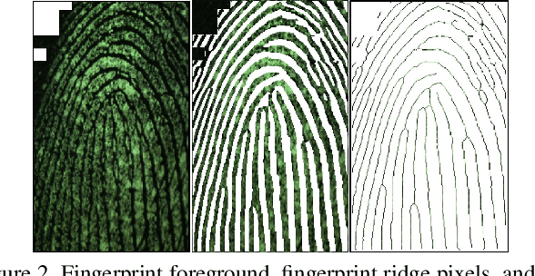 Figure 3 for Fingerprint Presentation Attack Detection utilizing Time-Series, Color Fingerprint Captures