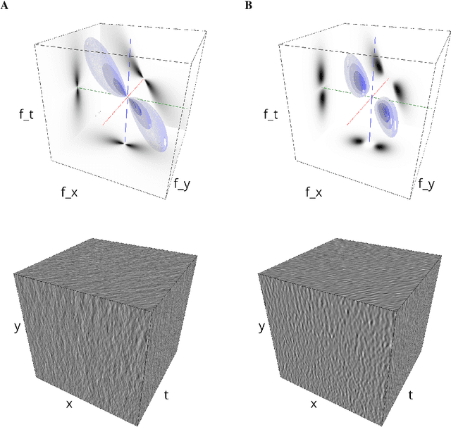 Figure 4 for Biologically Inspired Dynamic Textures for Probing Motion Perception