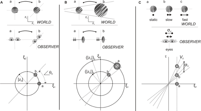 Figure 1 for Biologically Inspired Dynamic Textures for Probing Motion Perception