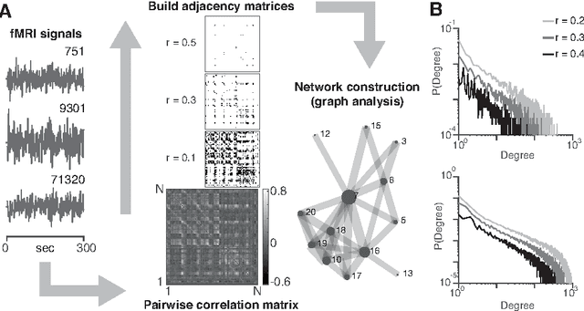 Figure 1 for Scaling Properties of Human Brain Functional Networks