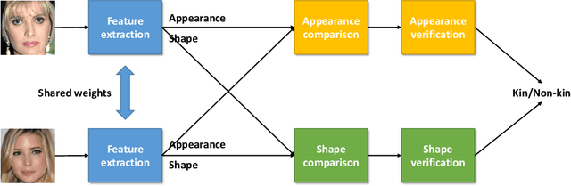 Figure 1 for Deep Kinship Verification via Appearance-shape Joint Prediction and Adaptation-based Approach