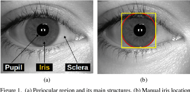 Figure 1 for A Benchmark for Iris Location and a Deep Learning Detector Evaluation