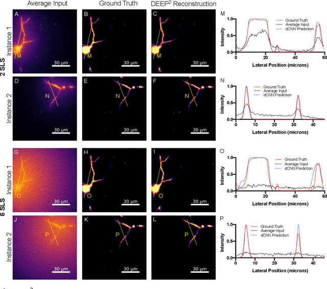 Figure 3 for DEEP$^2$: Deep Learning Powered De-scattering with Excitation Patterning