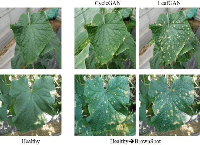 Figure 1 for LeafGAN: An Effective Data Augmentation Method for Practical Plant Disease Diagnosis