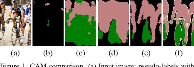 Figure 1 for Activation-Based Sampling for Pixel- to Image-Level Aggregation in Weakly-Supervised Segmentation