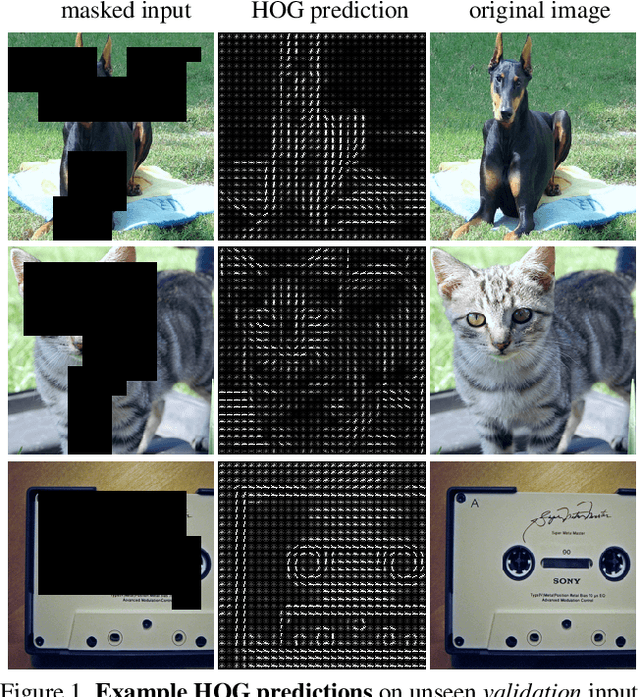 Figure 1 for Masked Feature Prediction for Self-Supervised Visual Pre-Training