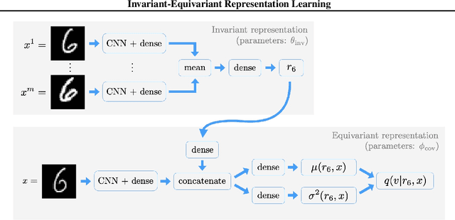Figure 3 for Invariant-equivariant representation learning for multi-class data