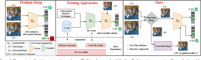 Figure 1 for DAD: Data-free Adversarial Defense at Test Time