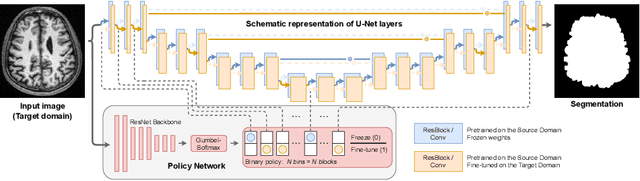 Figure 1 for Anatomy of Domain Shift Impact on U-Net Layers in MRI Segmentation