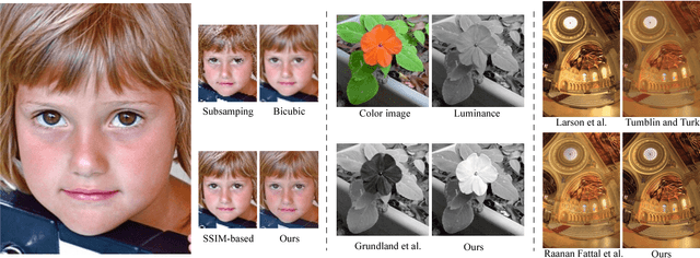 Figure 1 for Deep Feature Consistent Deep Image Transformations: Downscaling, Decolorization and HDR Tone Mapping
