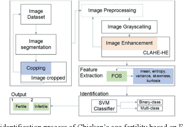 Figure 1 for Identification of chicken egg fertility using SVM classifier based on first-order statistical feature extraction