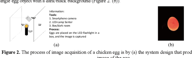 Figure 3 for Identification of chicken egg fertility using SVM classifier based on first-order statistical feature extraction