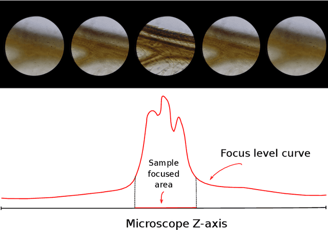 Figure 1 for Smart mobile microscopy: towards fully-automated digitization