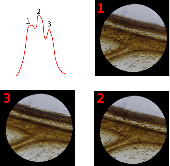 Figure 3 for Smart mobile microscopy: towards fully-automated digitization