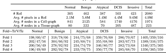 Figure 4 for HACT-Net: A Hierarchical Cell-to-Tissue Graph Neural Network for Histopathological Image Classification