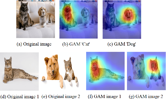 Figure 1 for GAM: Explainable Visual Similarity and Classification via Gradient Activation Maps