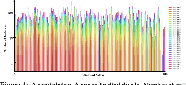 Figure 4 for Towards Self-Supervision for Video Identification of Individual Holstein-Friesian Cattle: The Cows2021 Dataset