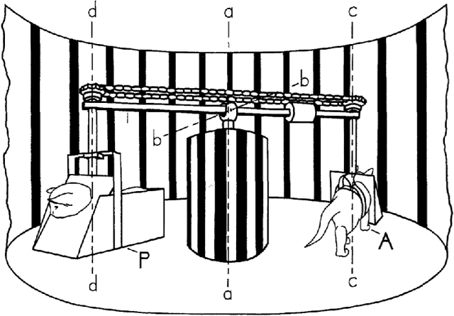 Figure 1 for Category-Learning with Context-Augmented Autoencoder