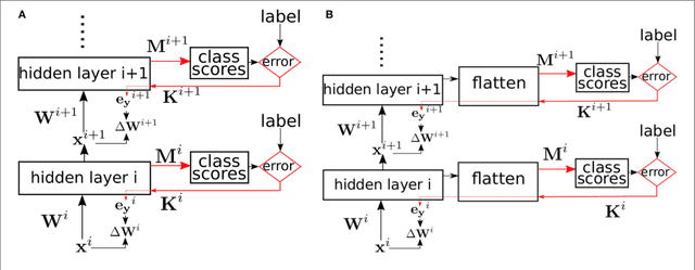 Figure 1 for Deep supervised learning using local errors