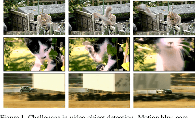 Figure 1 for Sequence Level Semantics Aggregation for Video Object Detection