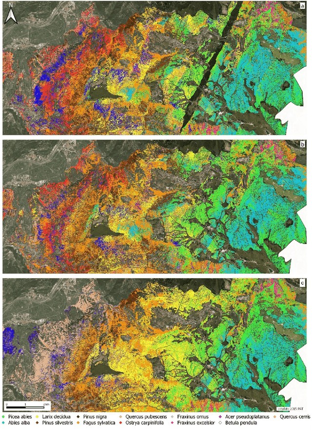Figure 4 for Hyperspectral and LiDAR data for the prediction via machine learning of tree species, volume and biomass: a possible contribution for updating forest management plans