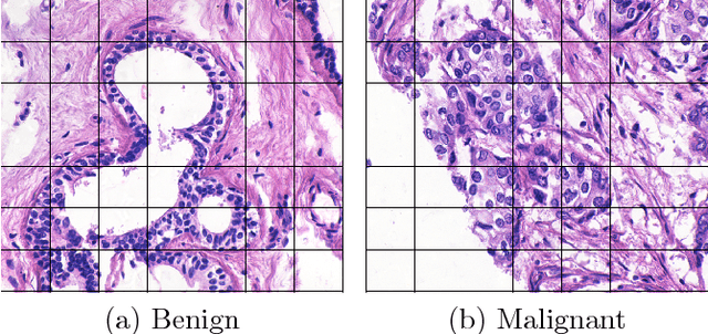 Figure 1 for A bag-to-class divergence approach to multiple-instance learning