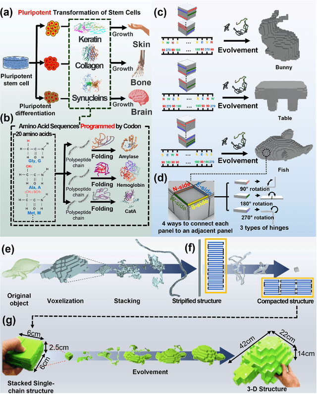 Figure 1 for Origami-based Zygote structure enables pluripotent shape-transforming deployable structure