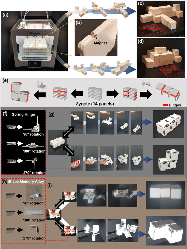 Figure 4 for Origami-based Zygote structure enables pluripotent shape-transforming deployable structure