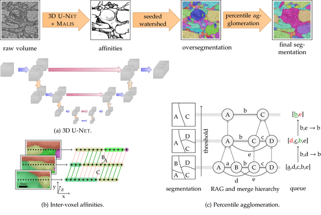 Figure 1 for A Deep Structured Learning Approach Towards Automating Connectome Reconstruction from 3D Electron Micrographs