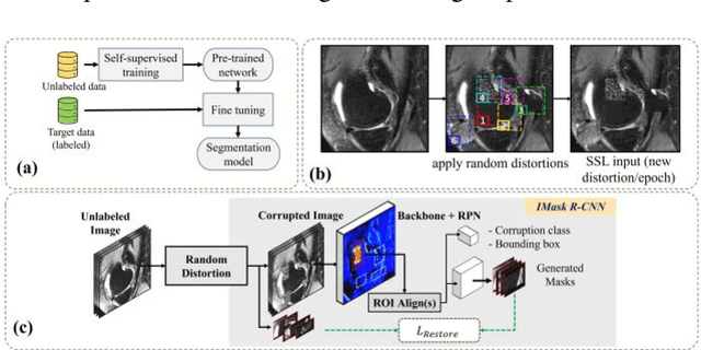 Figure 1 for Self-Supervised-RCNN for Medical Image Segmentation with Limited Data Annotation
