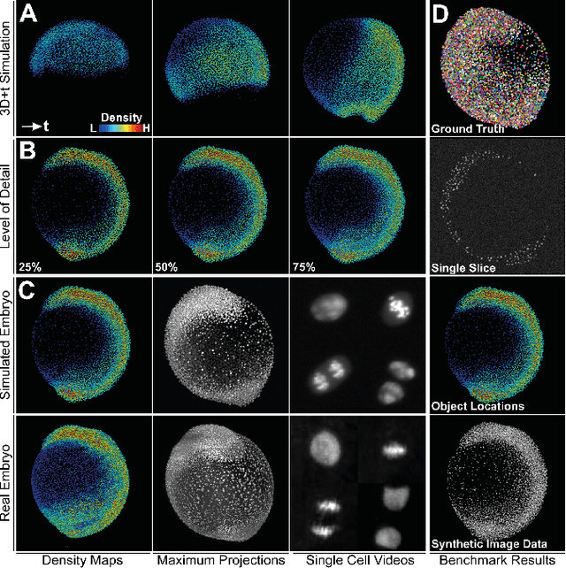 Figure 2 for Generating Semi-Synthetic Validation Benchmarks for Embryomics