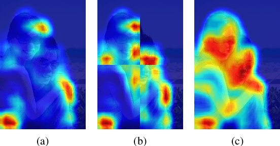 Figure 1 for Puzzle-CAM: Improved localization via matching partial and full features