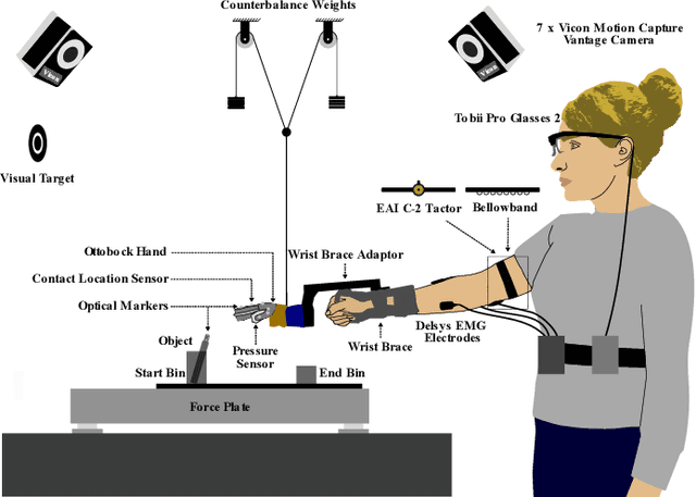 Figure 2 for The Utility of Synthetic Reflexes and Haptic Feedback for Upper-Limb Prostheses in a Dexterous Task Without Direct Vision