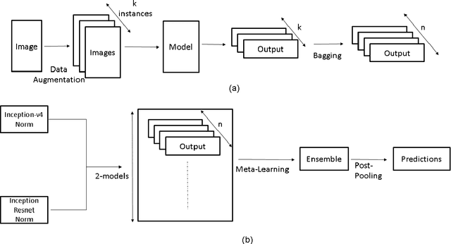 Figure 1 for Deep neural network ensemble by data augmentation and bagging for skin lesion classification