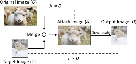 Figure 3 for Decamouflage: A Framework to Detect Image-Scaling Attacks on Convolutional Neural Networks