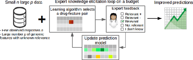 Figure 1 for Improving drug sensitivity predictions in precision medicine through active expert knowledge elicitation