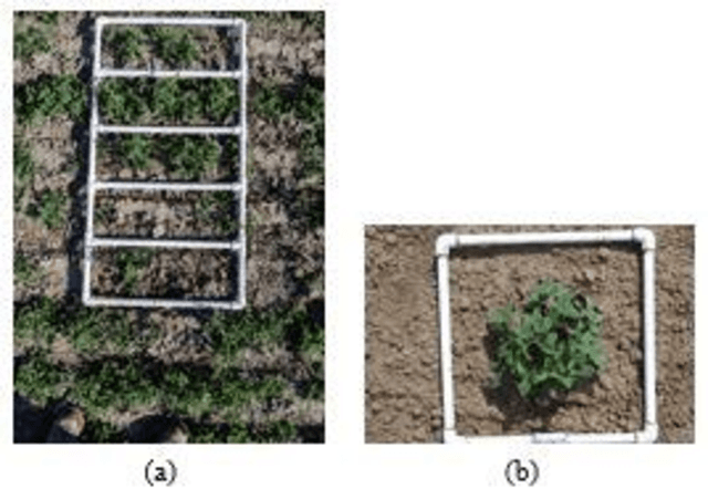 Figure 1 for Fractional Vegetation Cover Estimation using Hough Lines and Linear Iterative Clustering