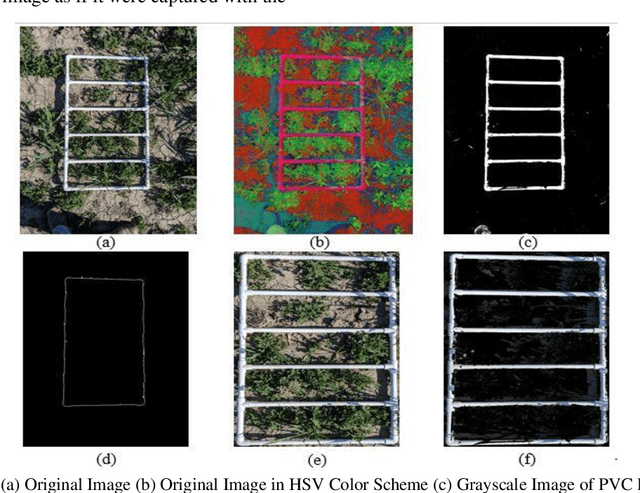 Figure 4 for Fractional Vegetation Cover Estimation using Hough Lines and Linear Iterative Clustering