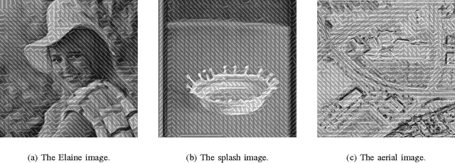 Figure 3 for A Directional Diffusion Algorithm for Inpainting