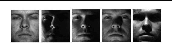 Figure 1 for Face Recognition via Locality Constrained Low Rank Representation and Dictionary Learning