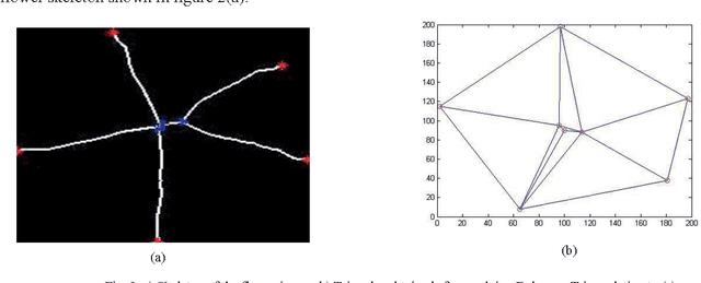 Figure 3 for Delaunay Triangulation on Skeleton of Flowers for Classification