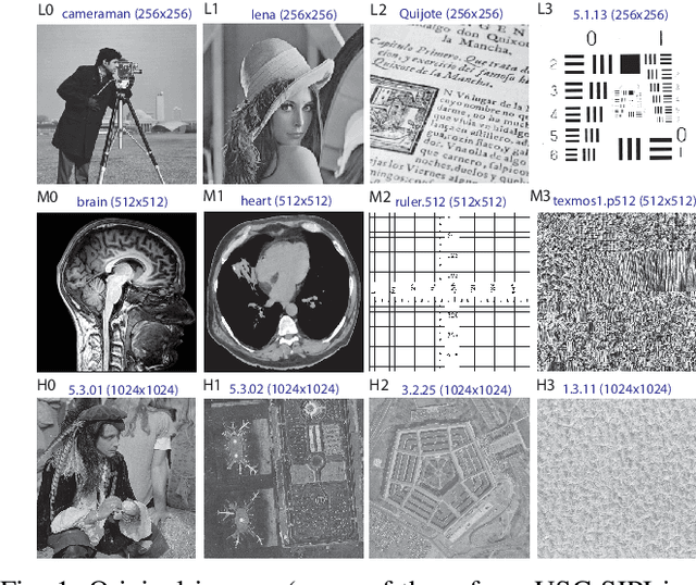 Figure 1 for Inertial nonconvex alternating minimizations for the image deblurring