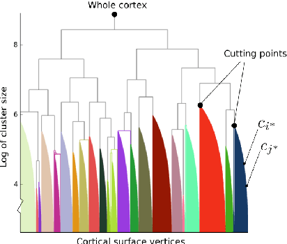 Figure 2 for Data-driven cortical clustering to provide a family of plausible solutions to M/EEG inverse problem