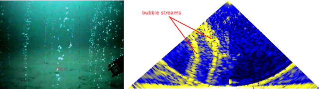 Figure 3 for Deep Sea Bubble Stream Characterization Using Wide-Baseline Stereo Photogrammetry