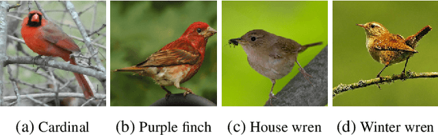 Figure 1 for Learning the Redundancy-free Features for Generalized Zero-Shot Object Recognition