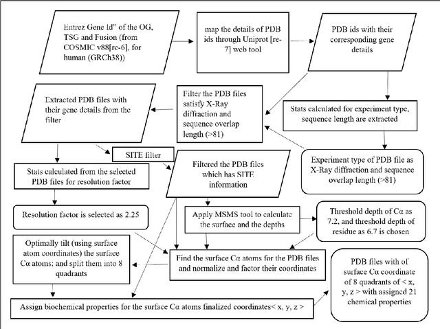 Figure 1 for An Integrated Deep Learning and Dynamic Programming Method for Predicting Tumor Suppressor Genes, Oncogenes, and Fusion from PDB Structures