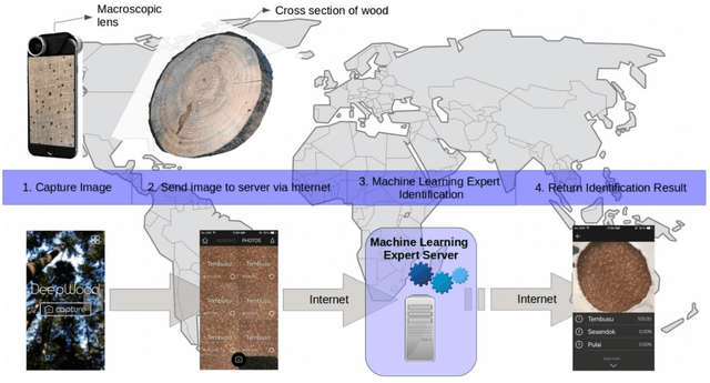 Figure 3 for Rapid and Robust Automated Macroscopic Wood Identification System using Smartphone with Macro-lens