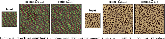 Figure 4 for Pitfalls of the Gram Loss for Neural Texture Synthesis in Light of Deep Feature Histograms